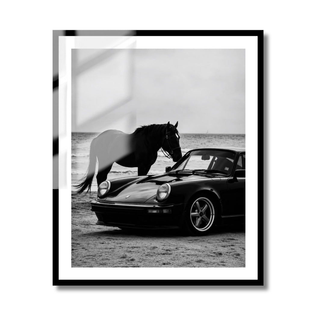 Horse and 911