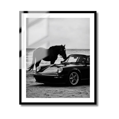 Horse and 911
