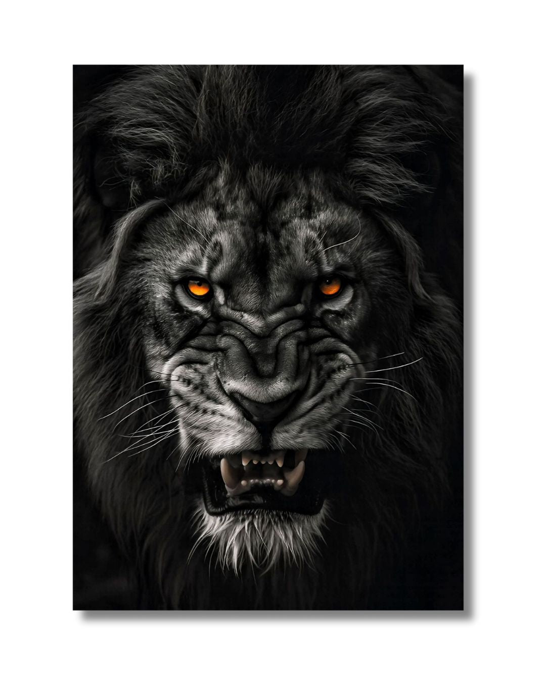 Orange Eyes Lion