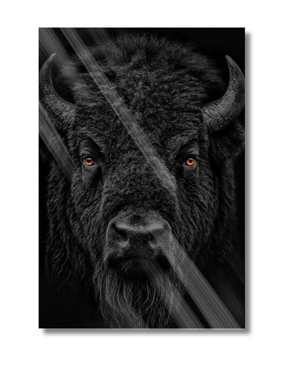 Dark Buffalo