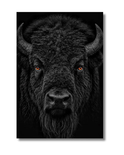 Dark Buffalo