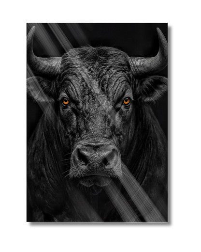 Black Bull