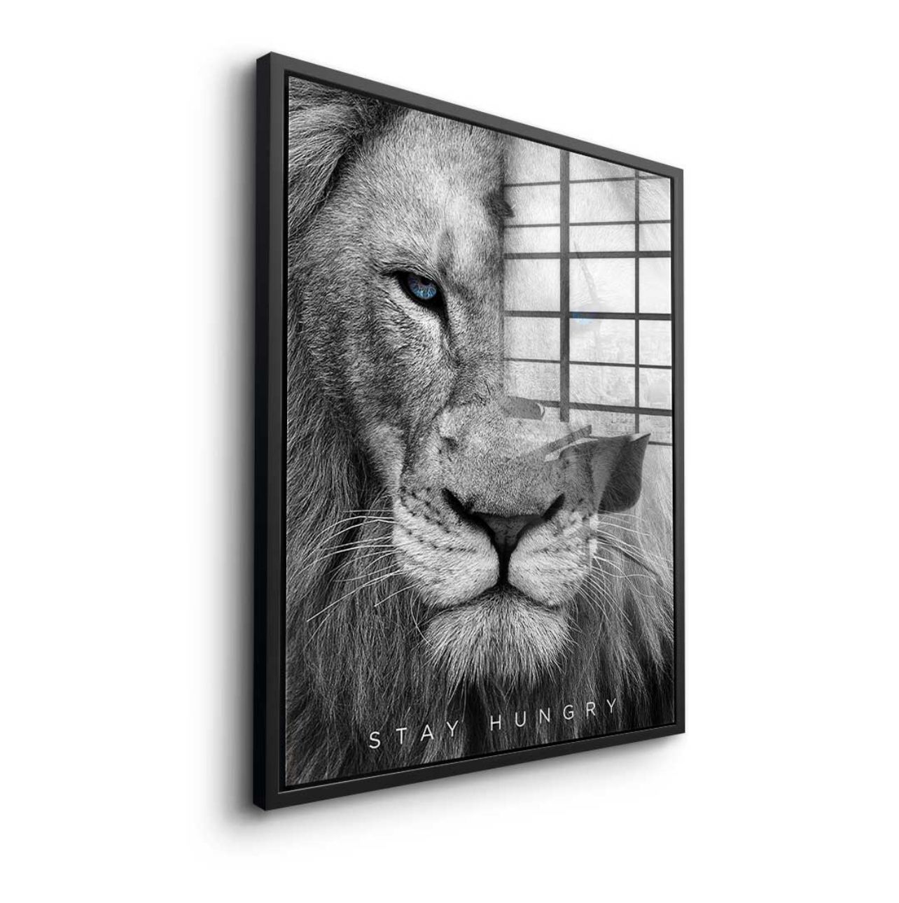 Stay Hungry Lion