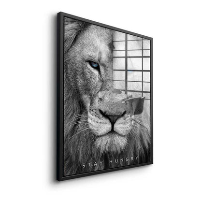 Stay Hungry Lion