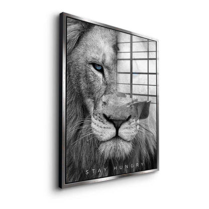 Stay Hungry Lion