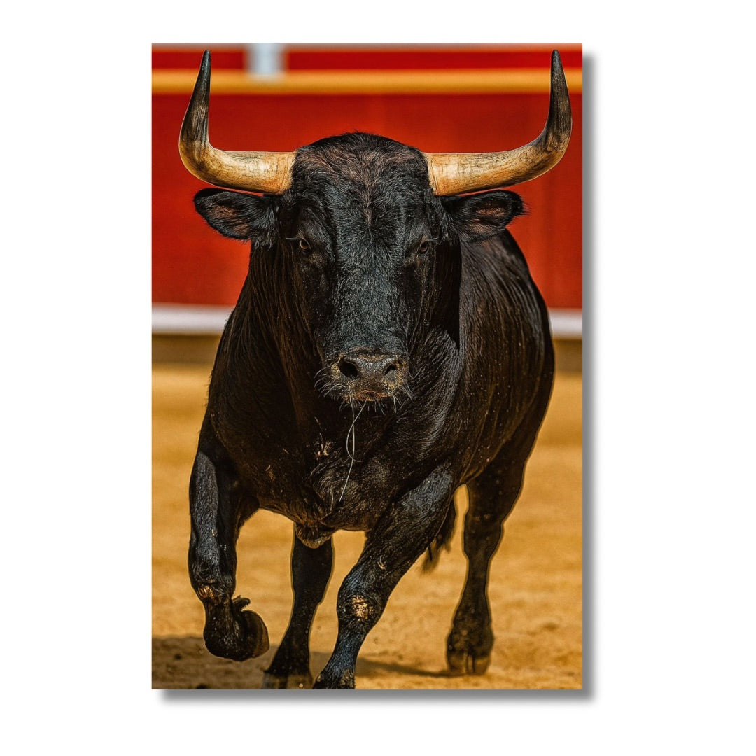 Bull Red