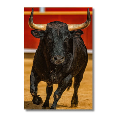 Bull Red