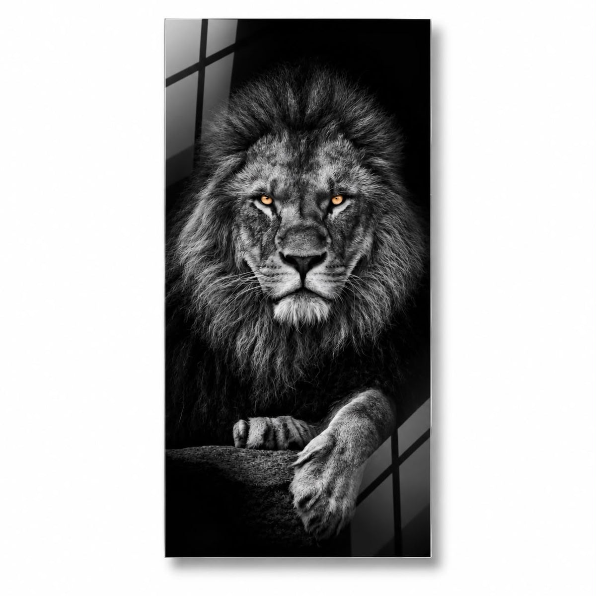 Lion Walk