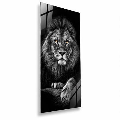 Lion Walk