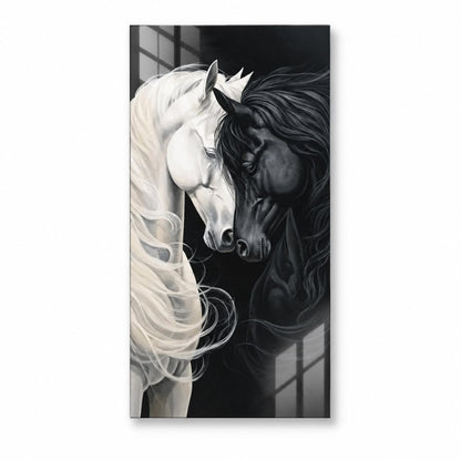 Black & White Horses