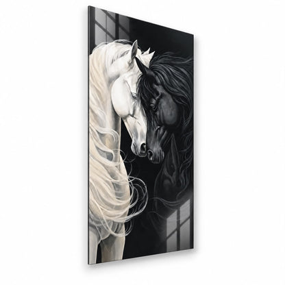 Black & White Horses